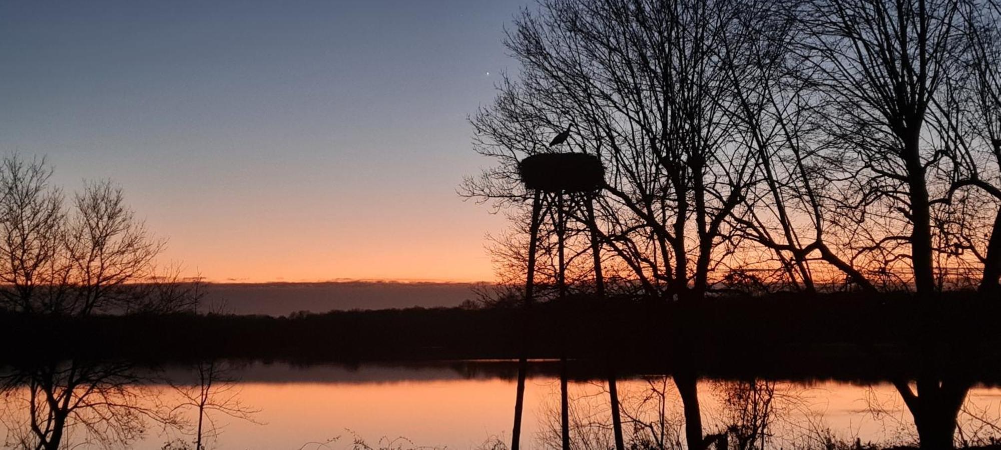 Domaine Castetbieilh Bed & Breakfast Tercis-les-Bains Bagian luar foto
